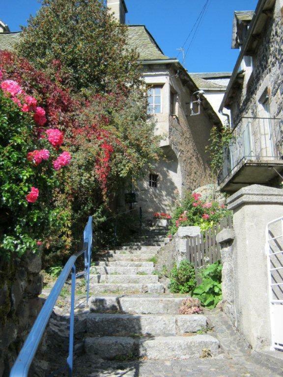 La Cure Grande Maison De Charme De 2 A 14 Personnes Saint-Urcize 外观 照片