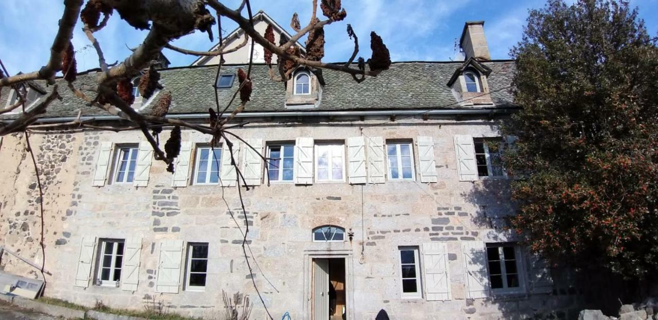 La Cure Grande Maison De Charme De 2 A 14 Personnes Saint-Urcize 外观 照片